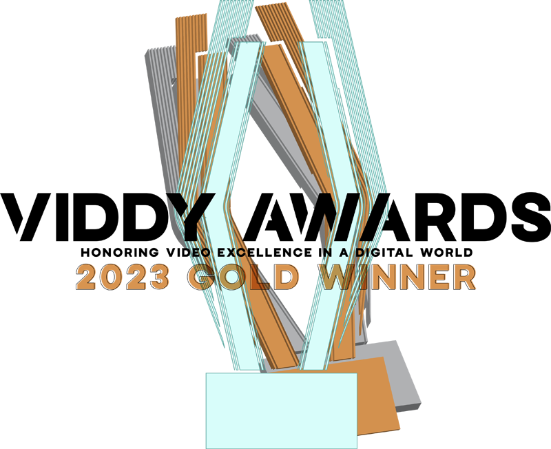 2023 Viddy
